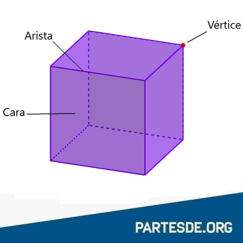 Partes de un cubo