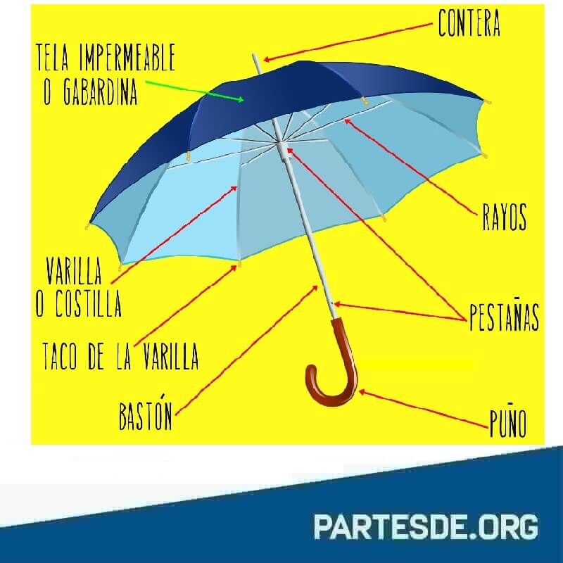 Partes de un paraguas