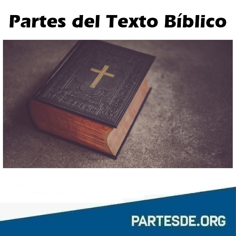 Partes del Texto Bíblico